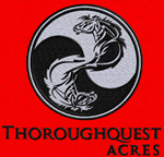 ThoroughQuest