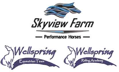 Logo-Skyview Farm / Wellspring